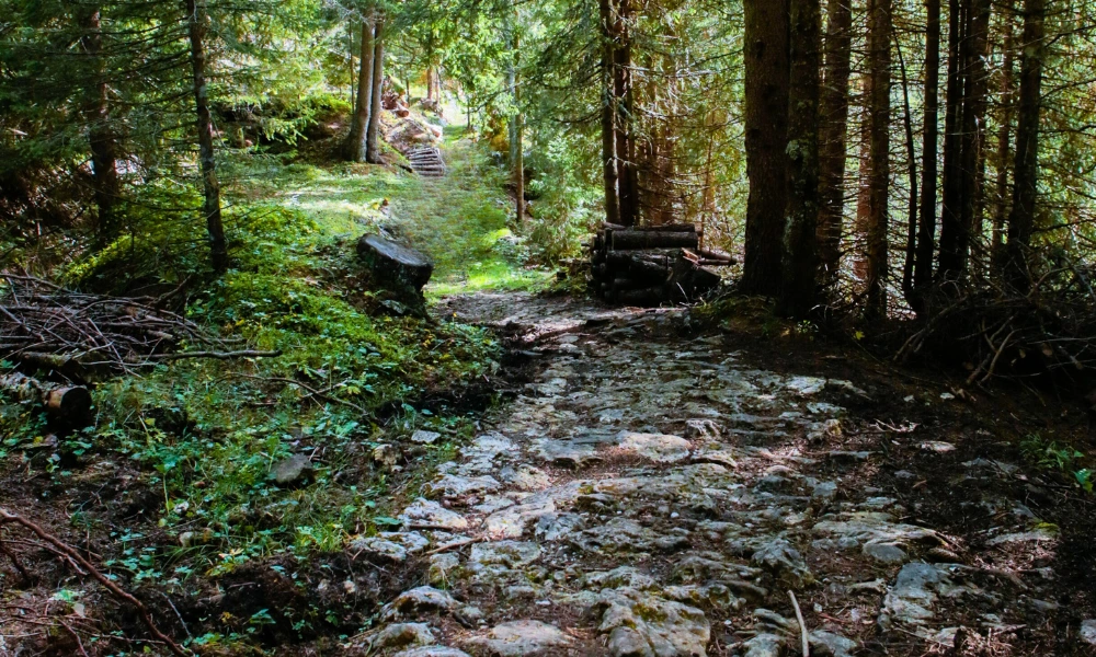 sentiero del respiro