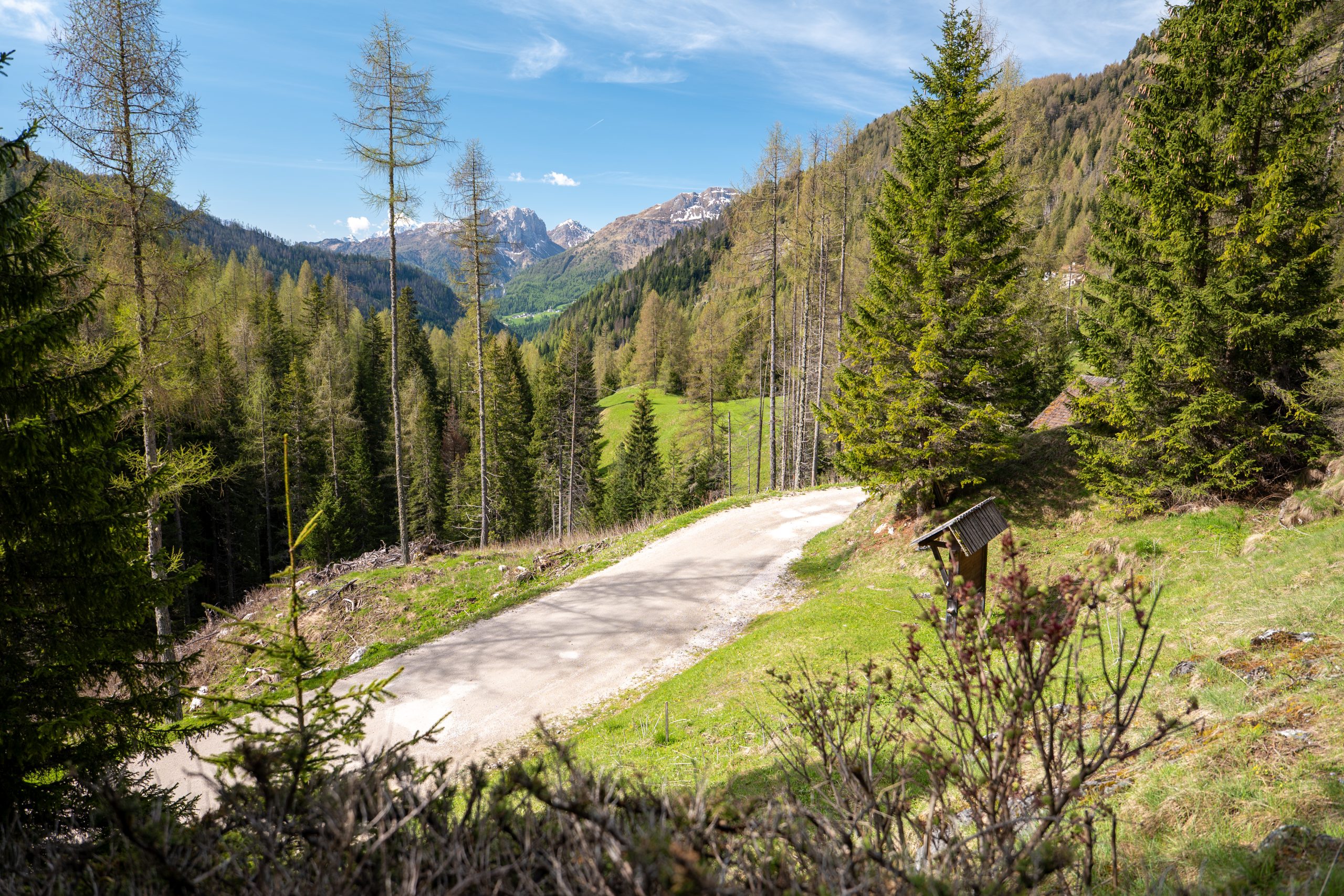 Salute respiratoria e natura: il benessere della montagna