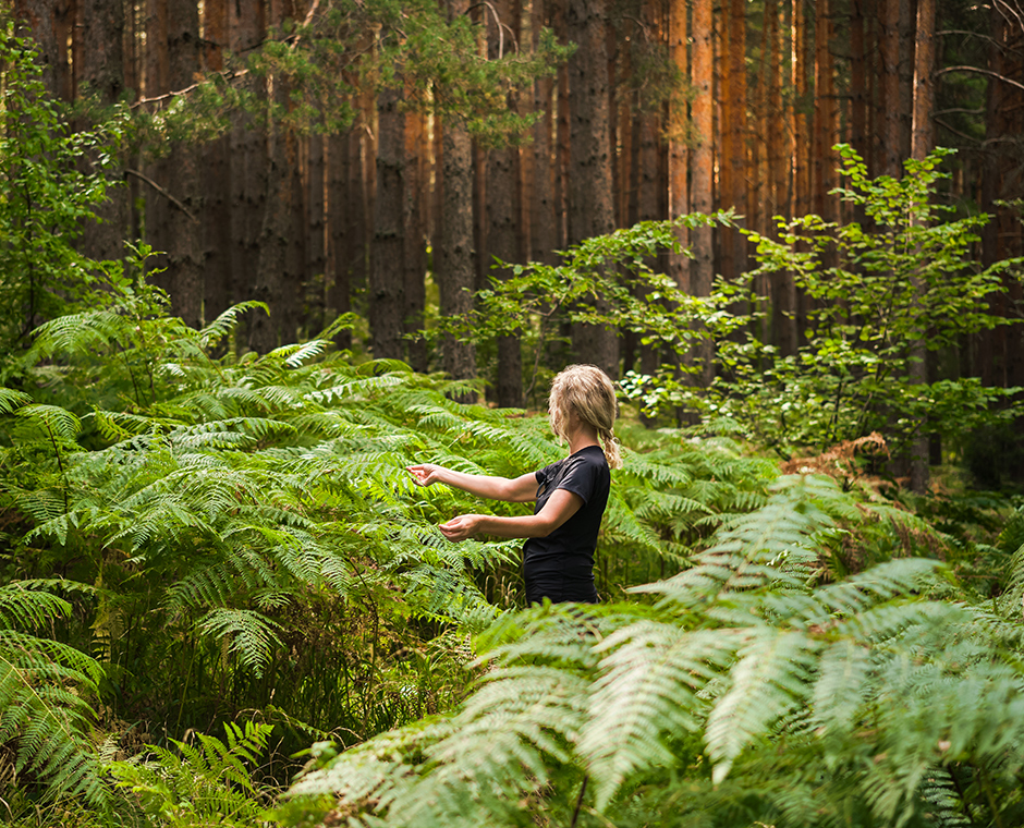 forest therapy