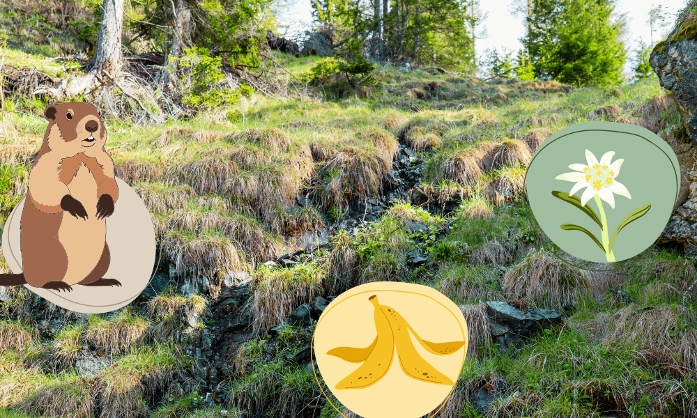 Come comportarsi in montagna - Dolomiti Sentiero del Respiro